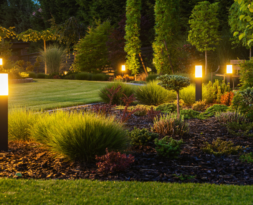 Led Lights In Residential Yard